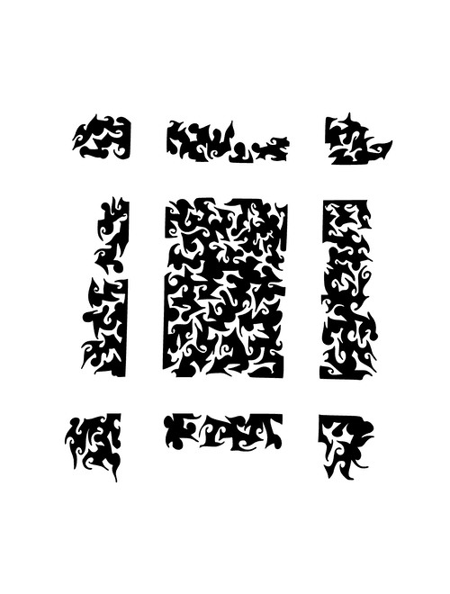 Black and white image